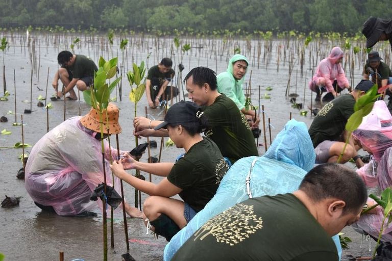 Community Initiative planting