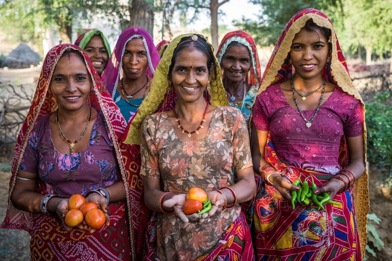 Sustainable Guar Initiative - Women empowerment - kitchen garden