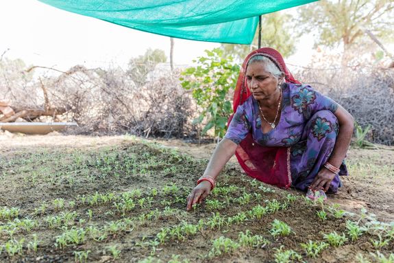 Sustainable Guar - garden